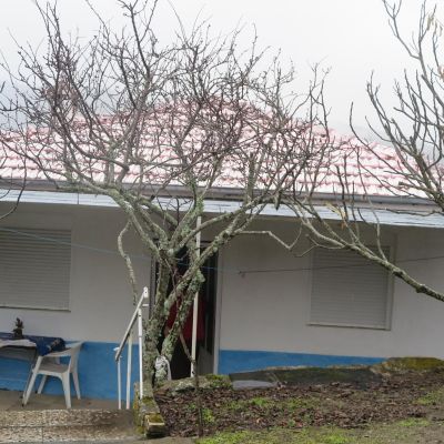 Casa y terreno Casa y terreno