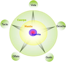 Terapia Sexual YA
