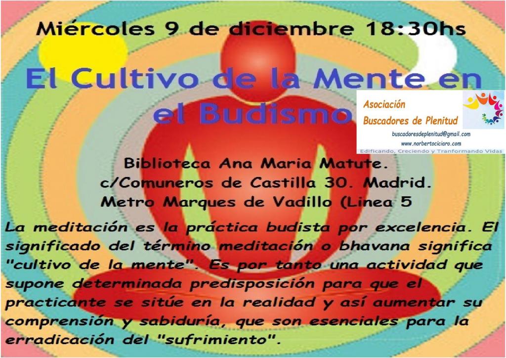 Asociación Buscadores de Plenitud