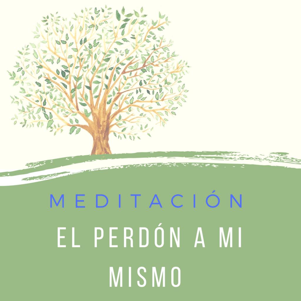 Asociación Buscadores de Plenitud